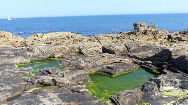 Fonds d'cran Nature Mers - Ocans - Plages Sentier côtier rocher de Goudoul 01