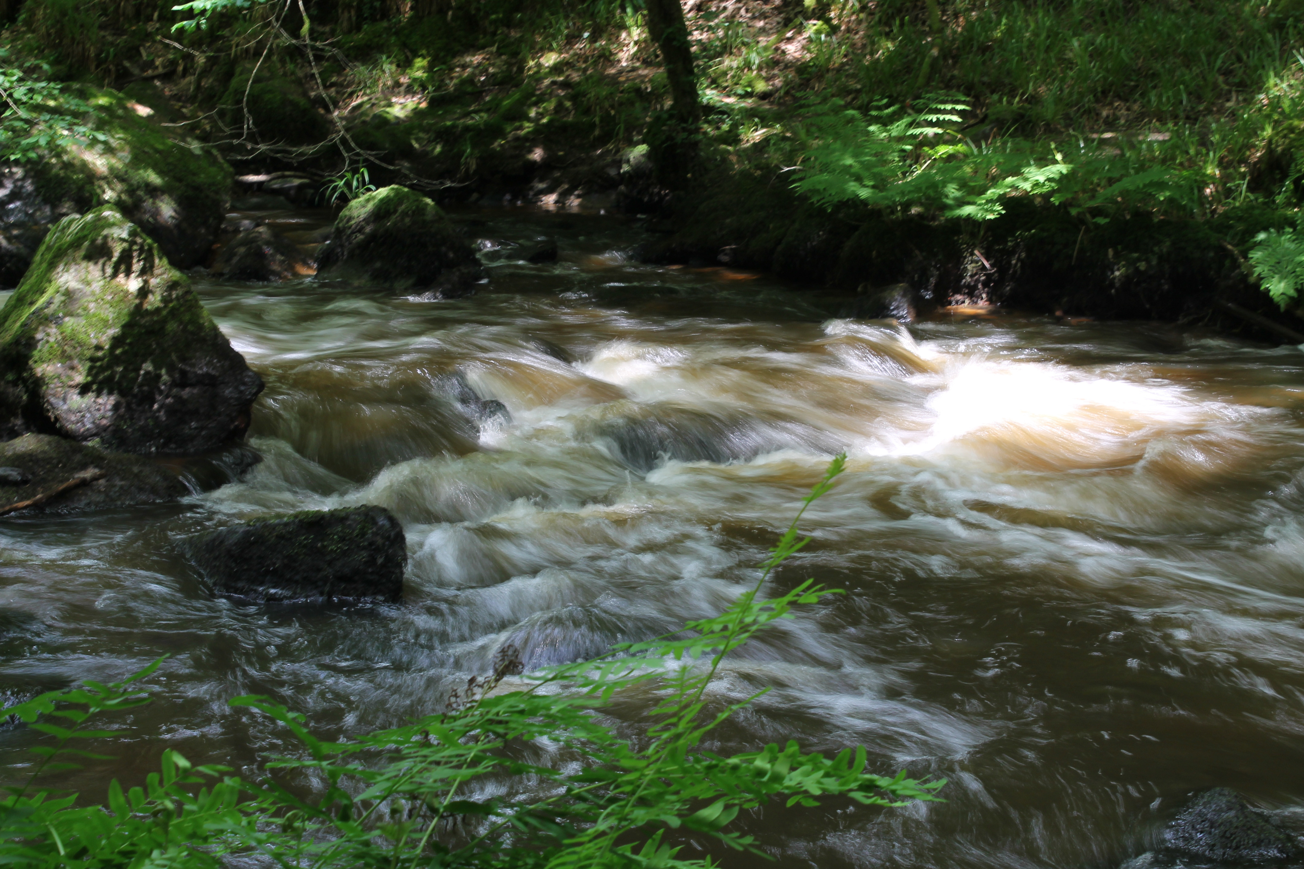 Fonds d'cran Nature Fleuves - Rivires - Torrents 