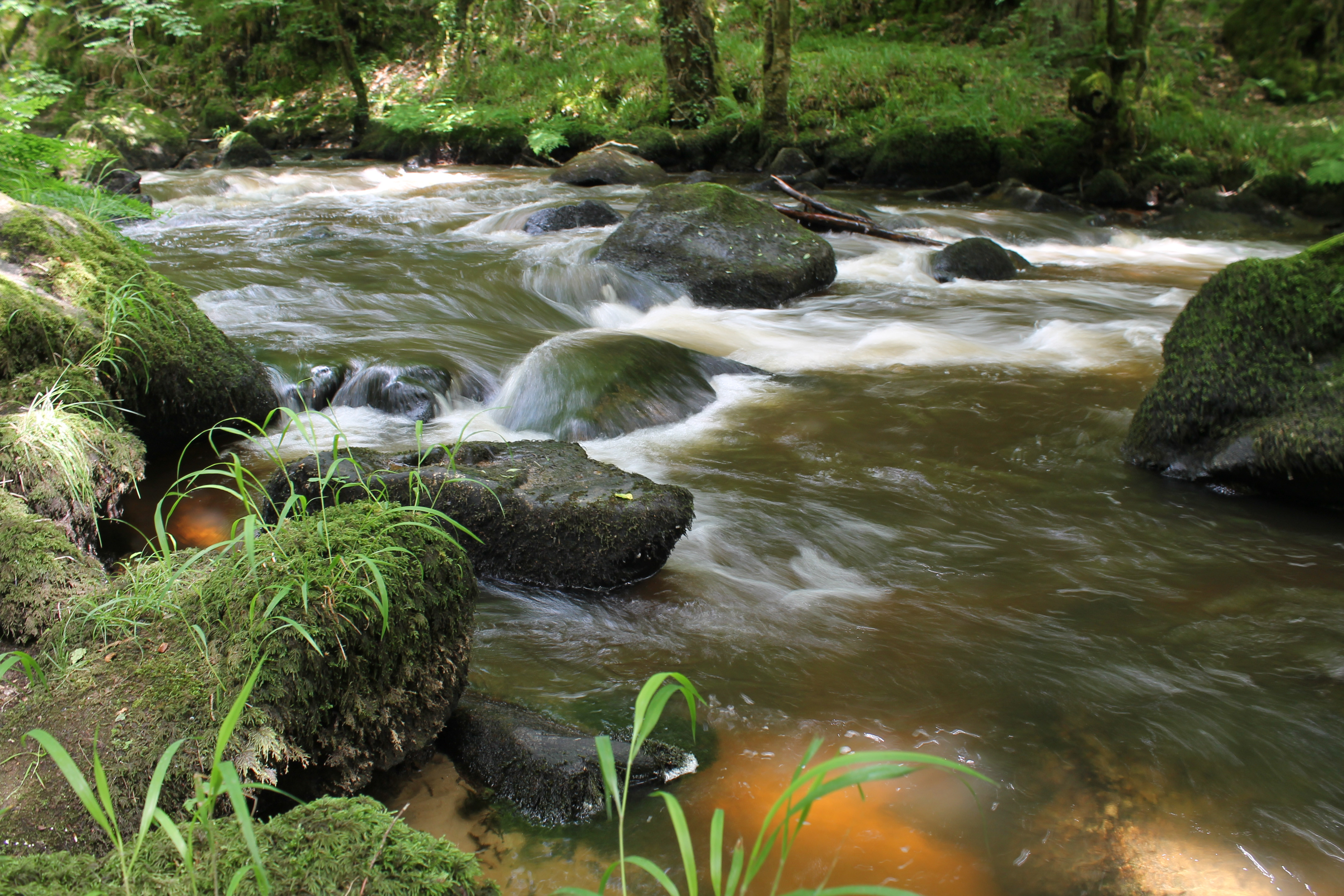 Fonds d'cran Nature Fleuves - Rivires - Torrents 