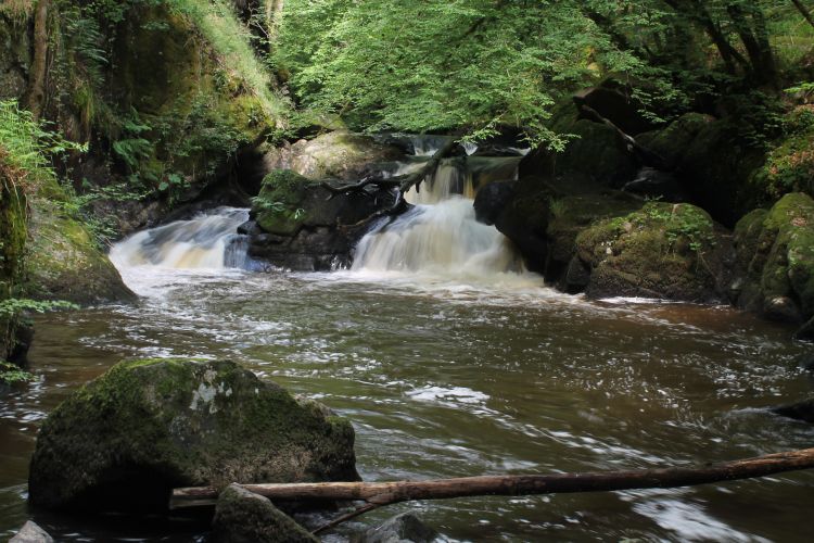 Fonds d'cran Nature Cascades - Chutes le saut du chalard