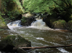  Nature le saut du chalard