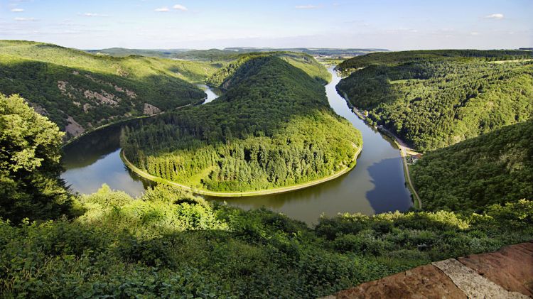 Fonds d'cran Nature Fleuves - Rivires - Torrents Méandre Piesport été Allemagne