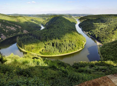  Nature Méandre Piesport été Allemagne