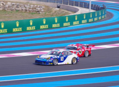  Voitures Course d'endurance - circuit du Castellet