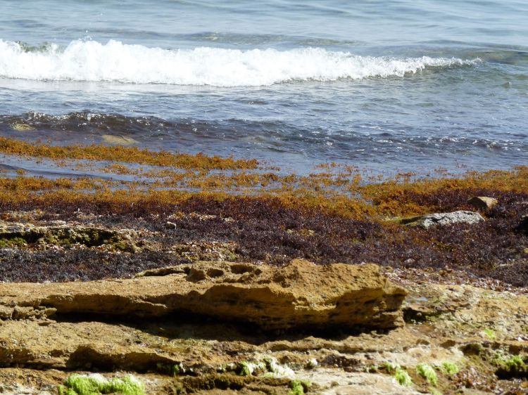 Fonds d'cran Nature Mers - Ocans - Plages une petite crique