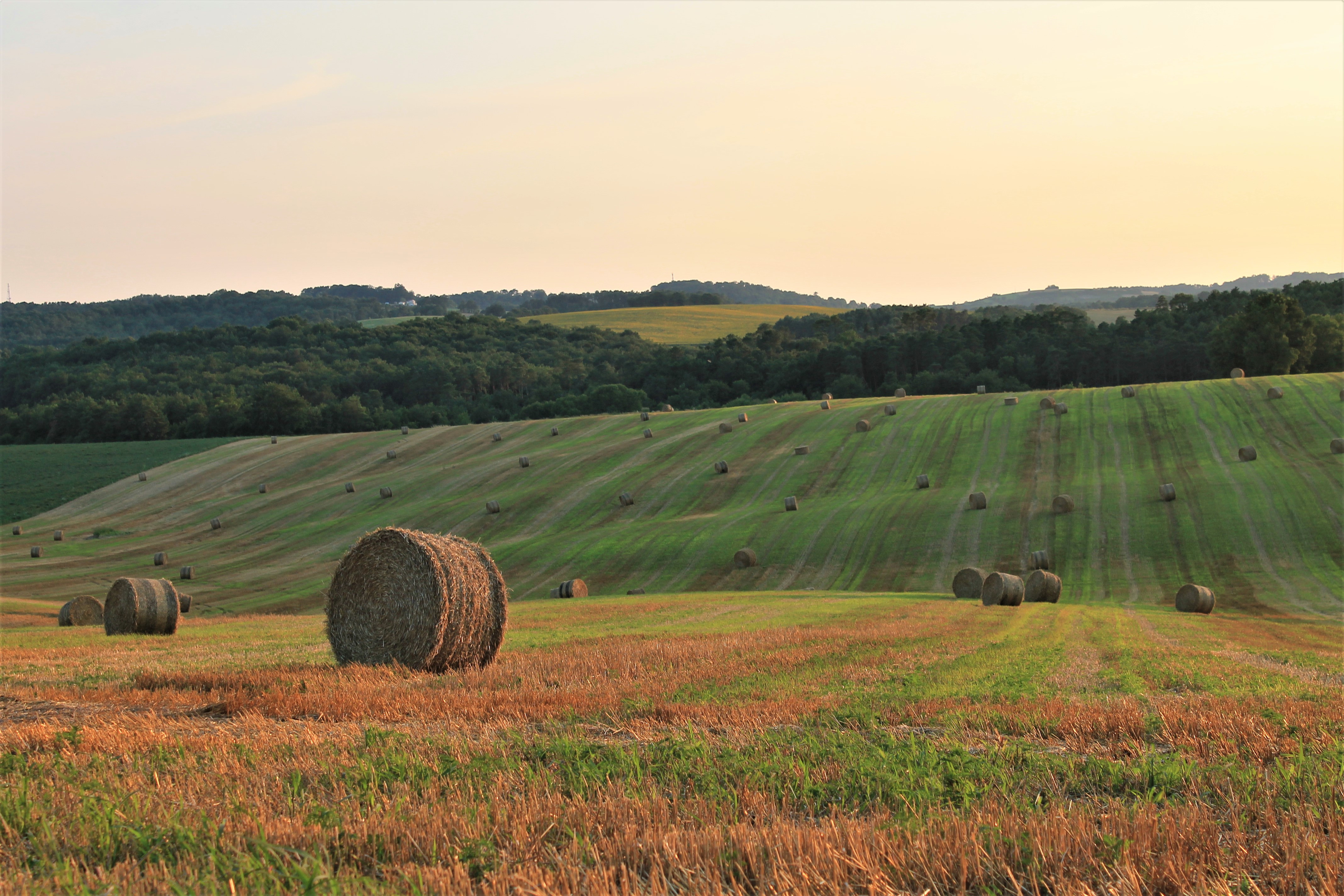 Fonds d'cran Nature Campagne 