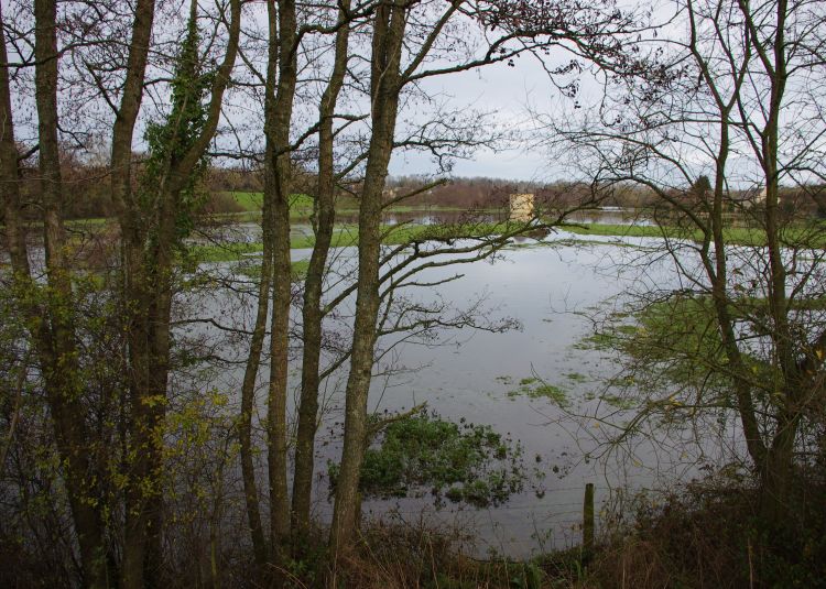 Fonds d'cran Nature Campagne campagne inondée