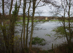  Nature campagne inondée