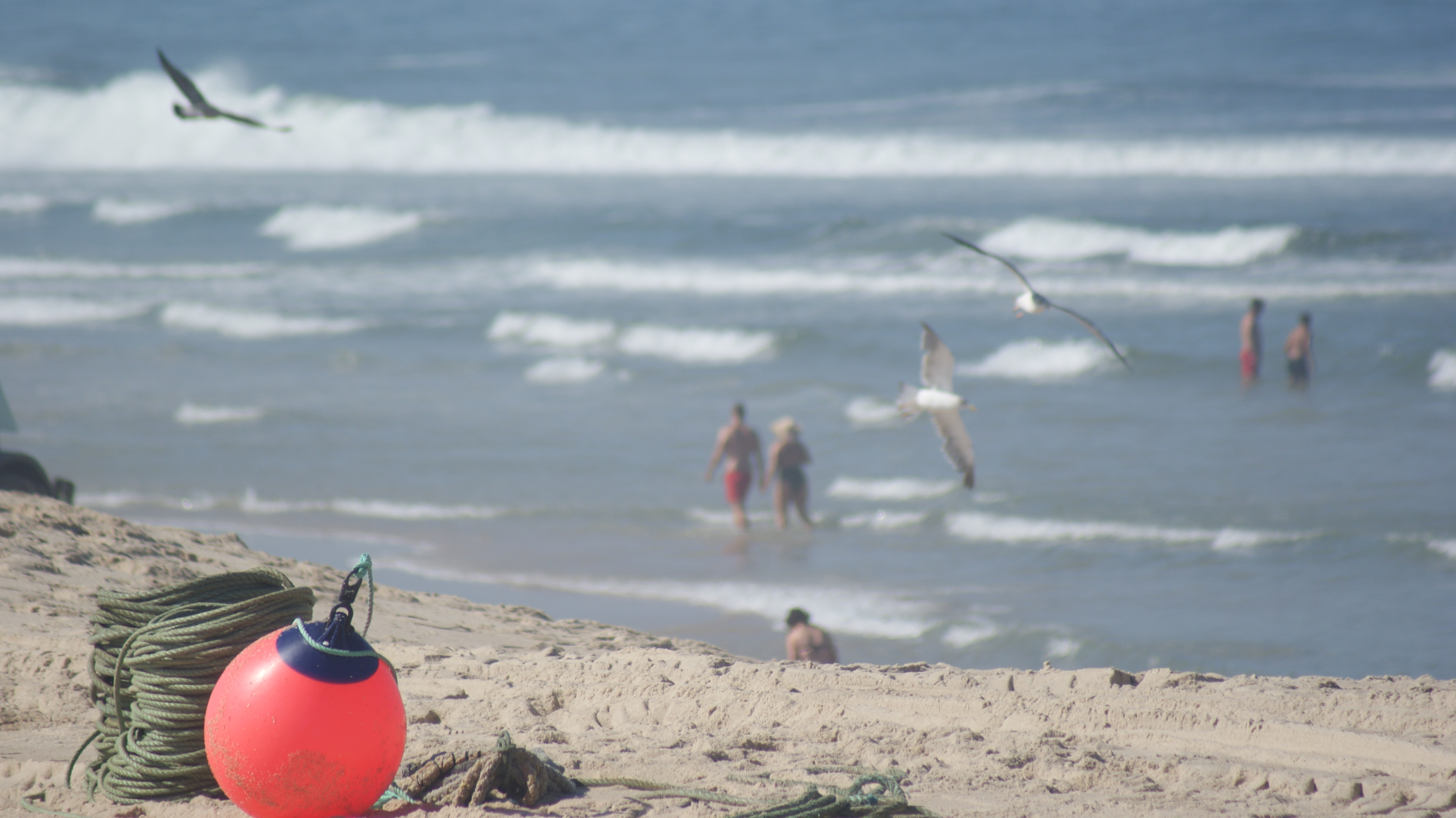 Fonds d'cran Nature Mers - Ocans - Plages 