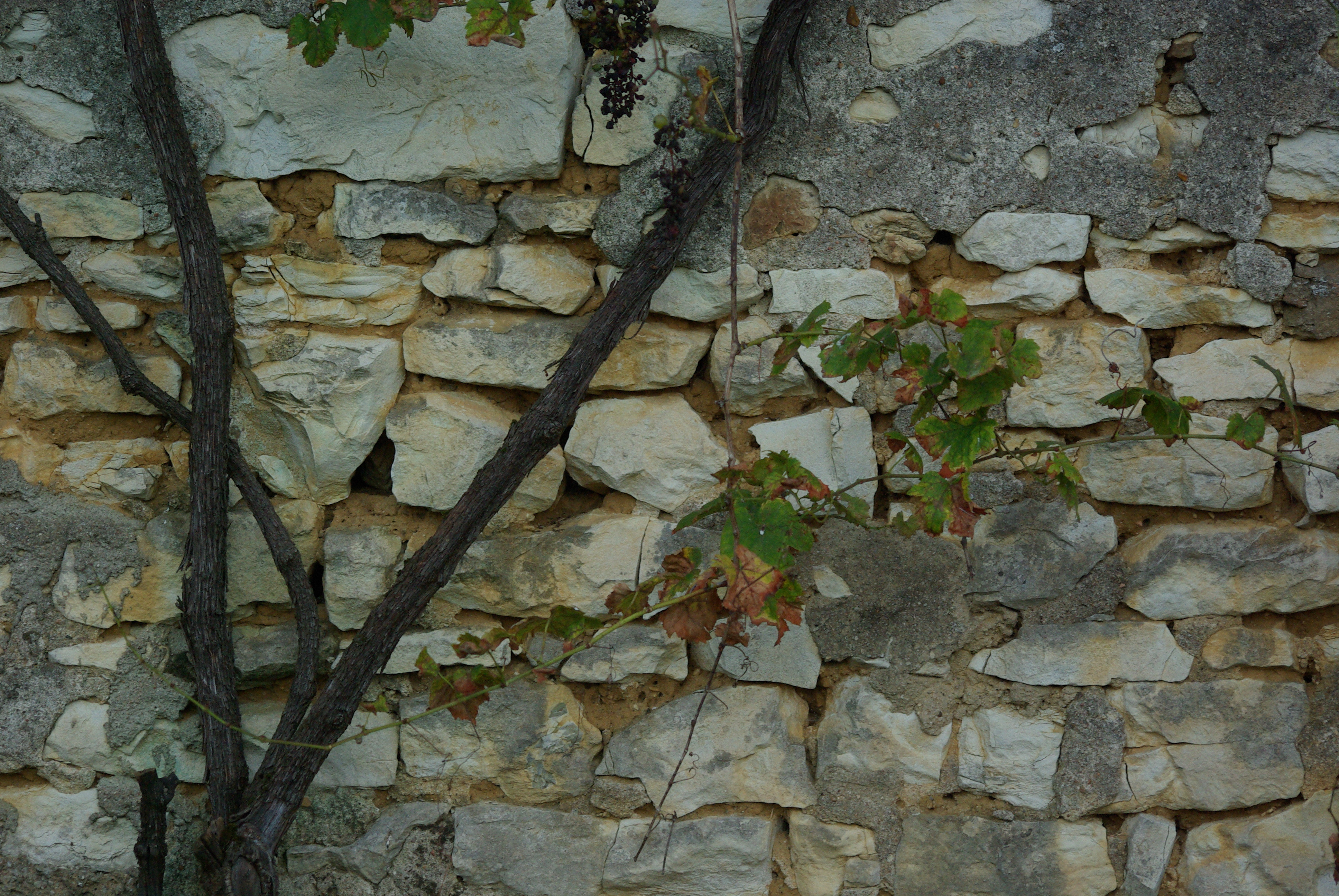 Fonds d'cran Constructions et architecture Toits - Murs - Cltures 