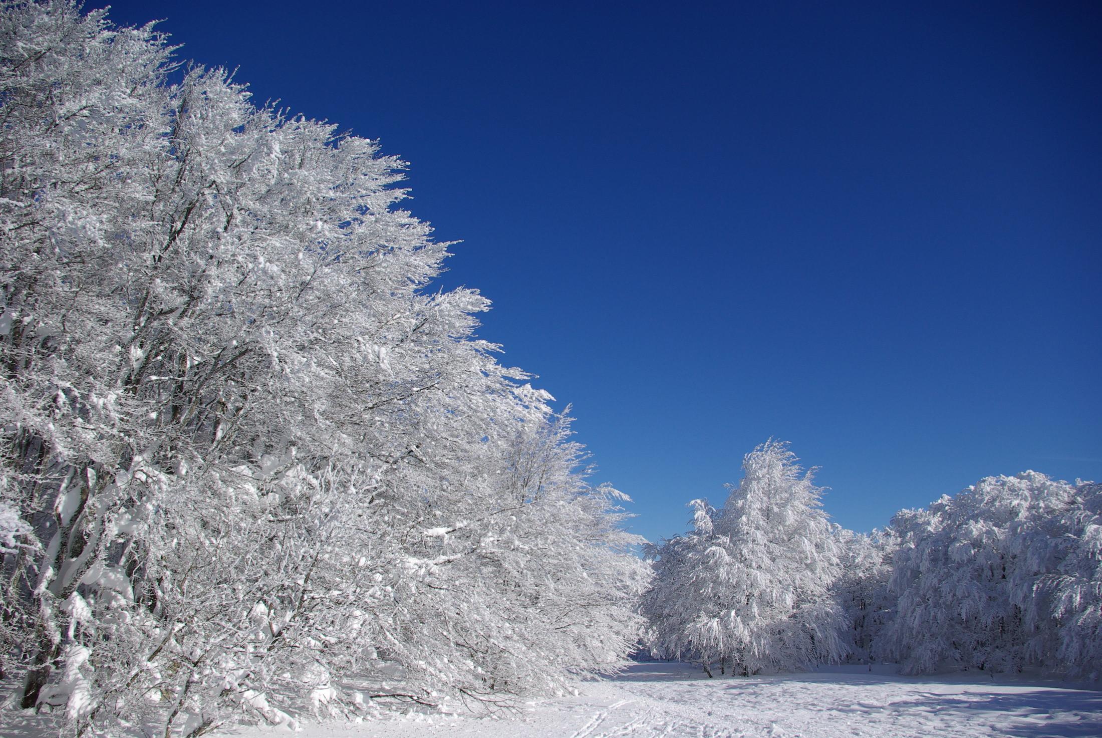 Wallpapers Nature Saisons - Winter 