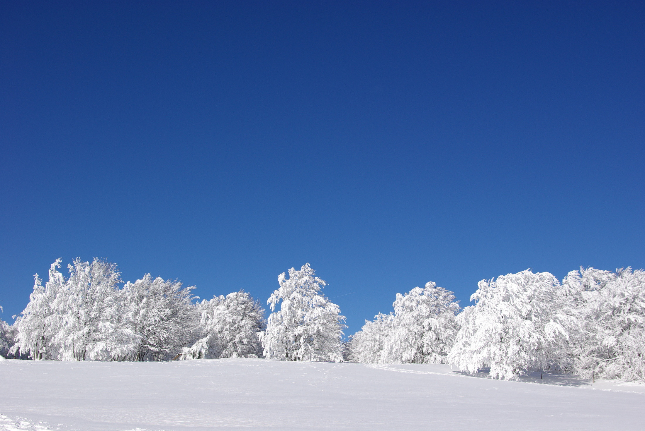 Fonds d'cran Nature Saisons - Hiver 