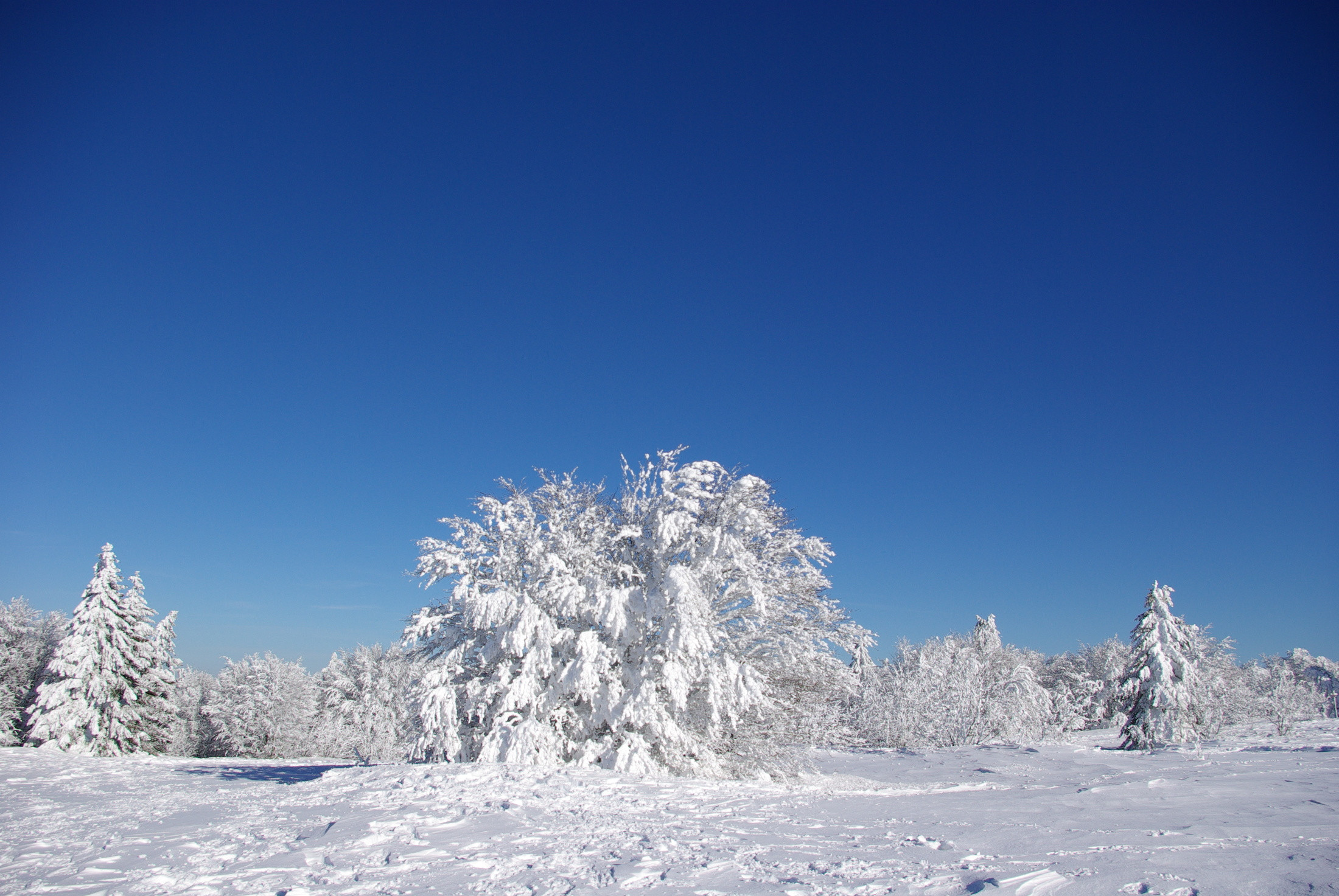 Fonds d'cran Nature Saisons - Hiver 