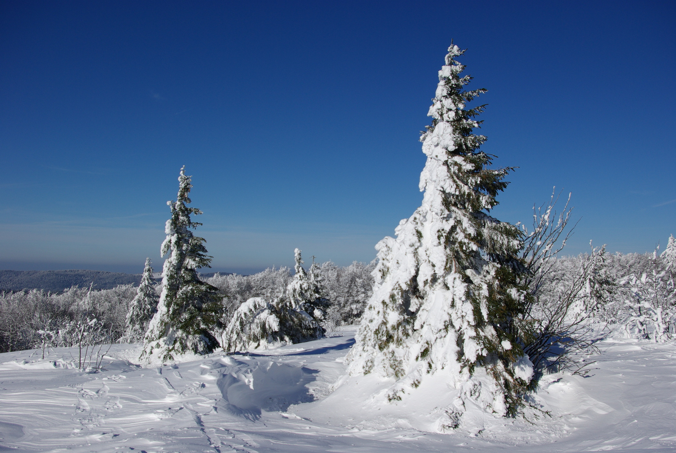 Wallpapers Nature Saisons - Winter 