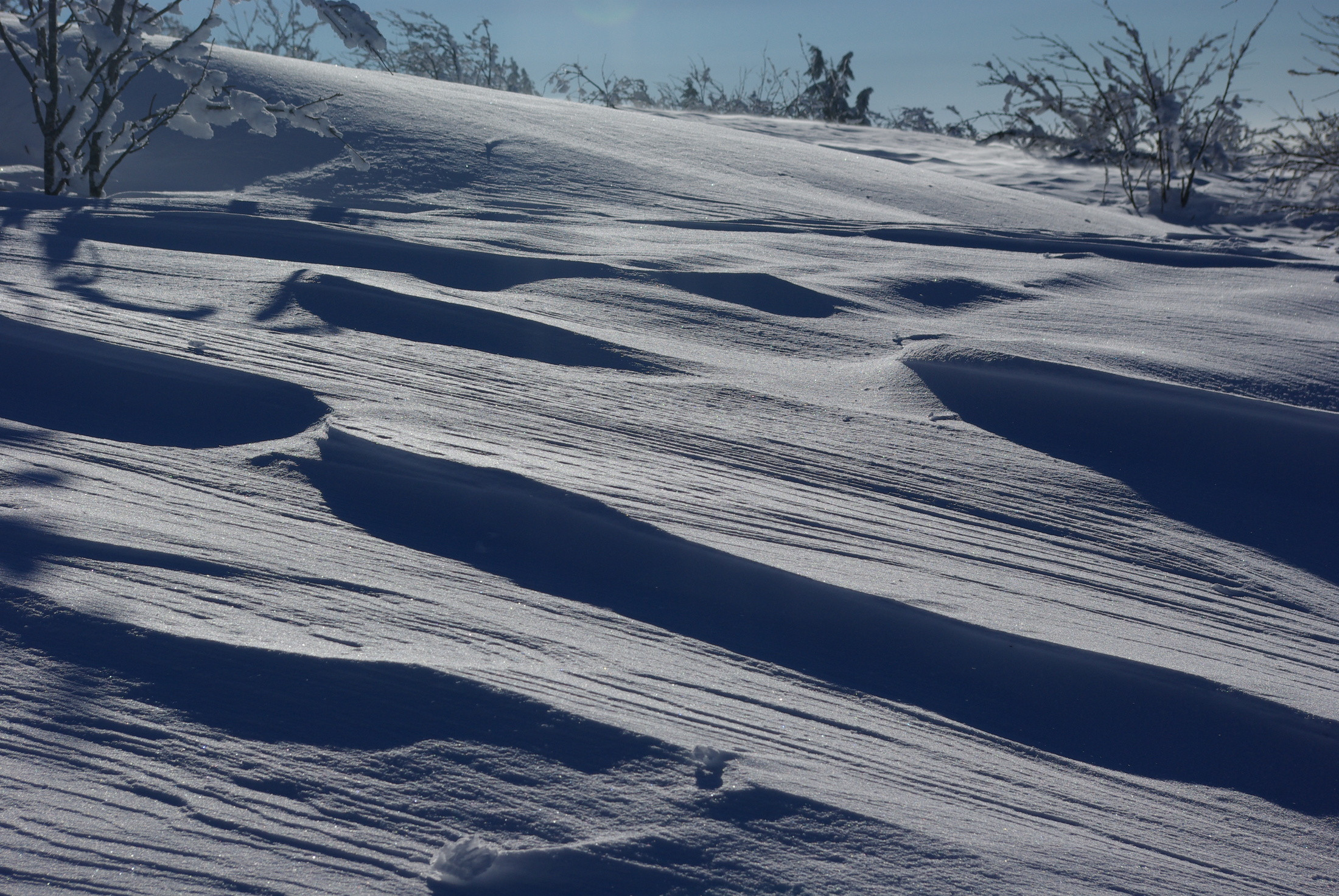 Wallpapers Nature Saisons - Winter 