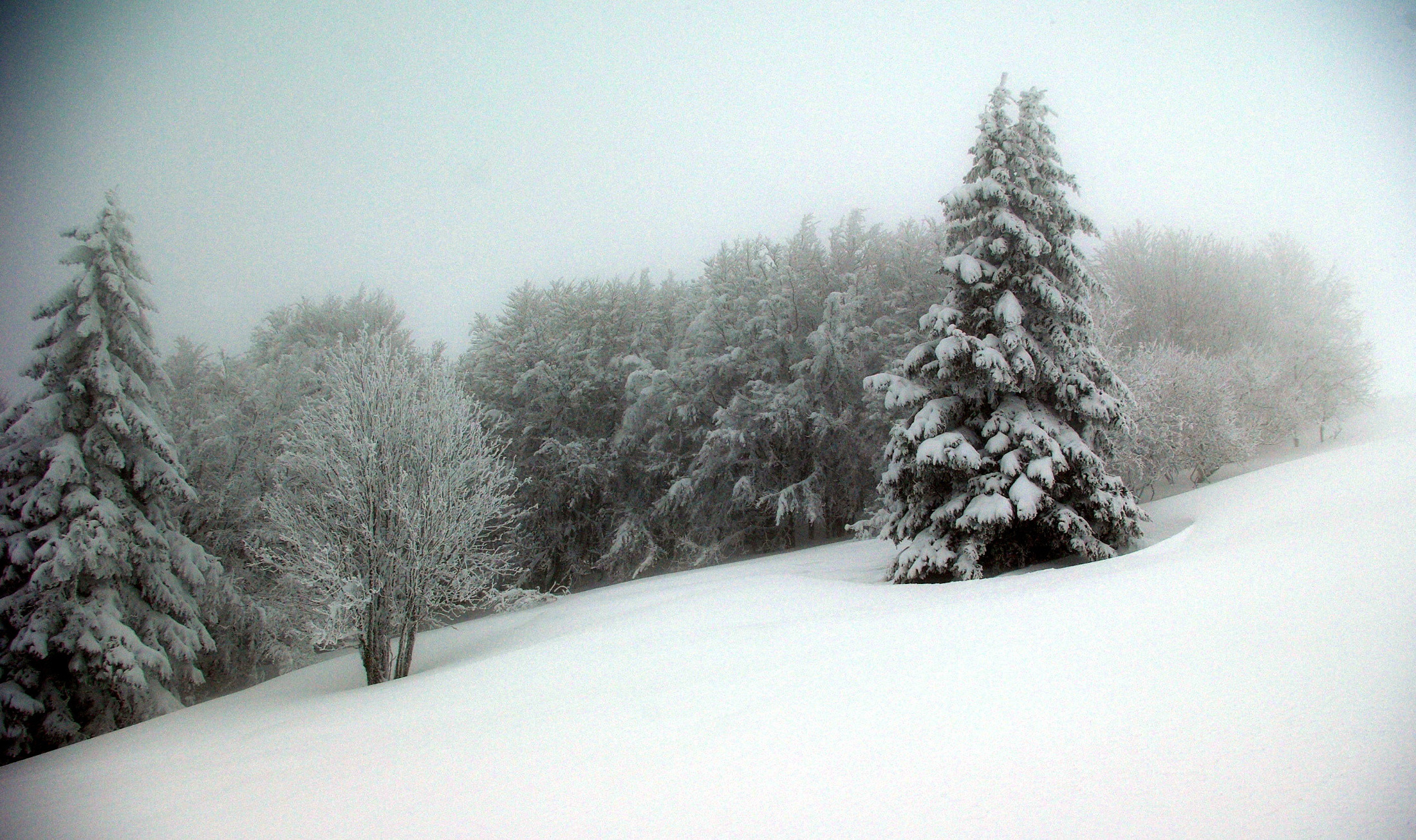 Wallpapers Nature Saisons - Winter 