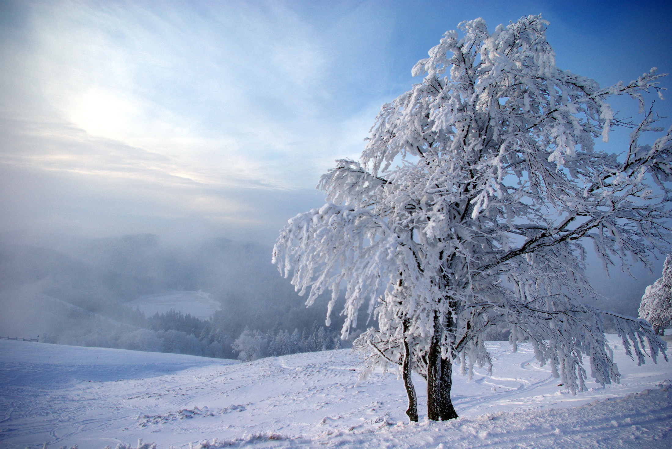 Fonds d'cran Nature Saisons - Hiver 