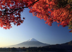  Nature Mont Fujiyama