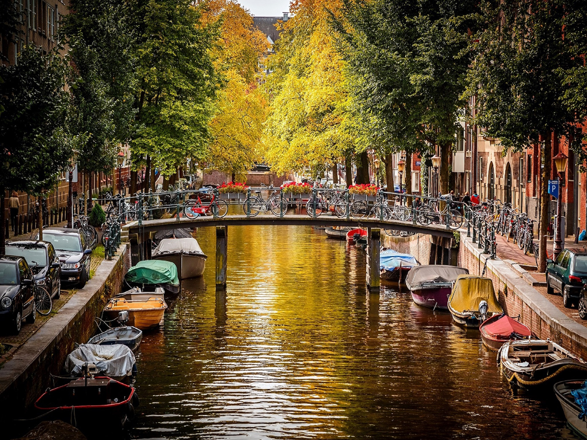 Wallpapers Nature Canals Pont à Amsterdam