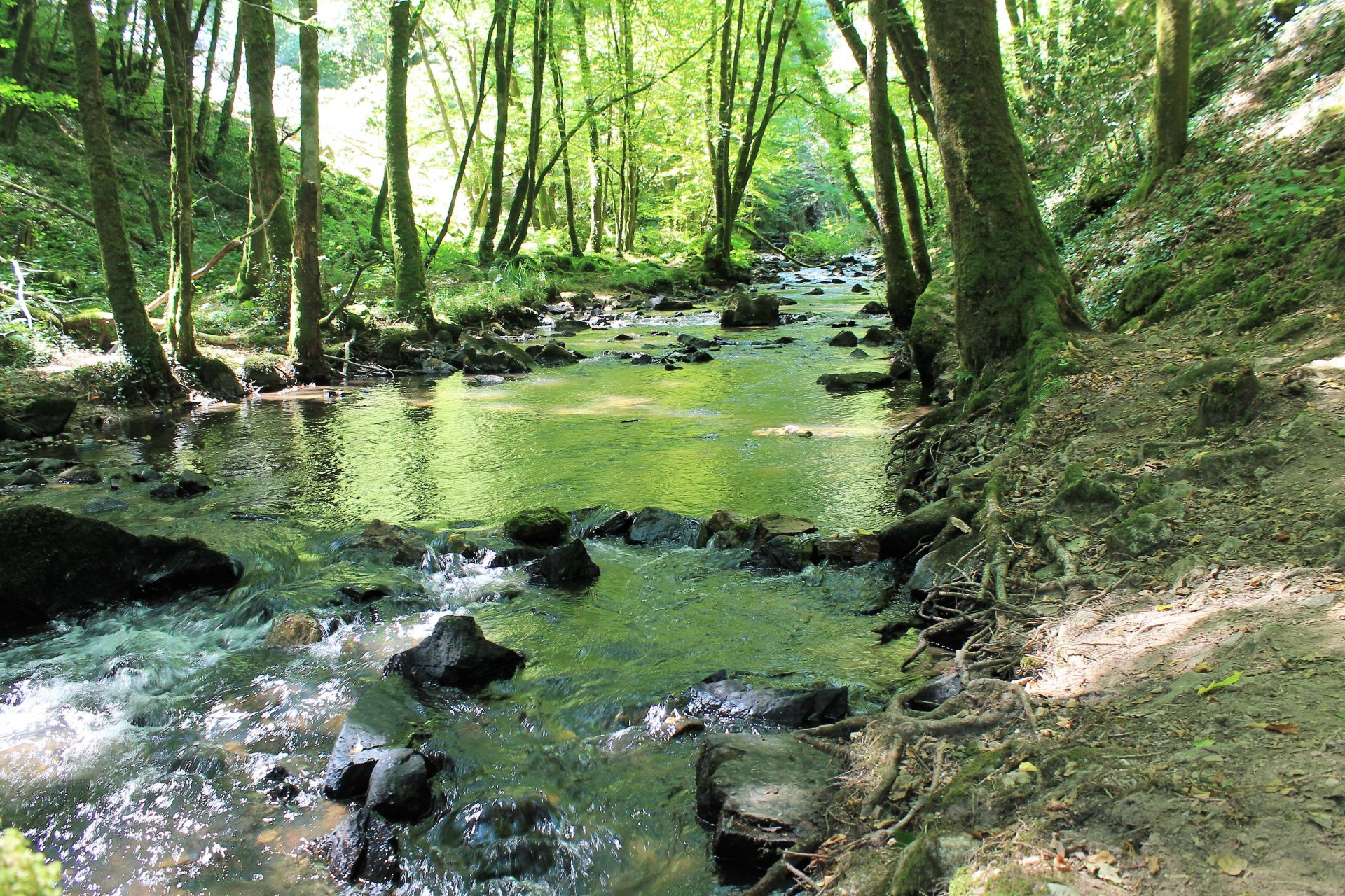 Fonds d'cran Nature Fleuves - Rivires - Torrents 