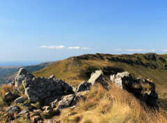  Nature au puy mary