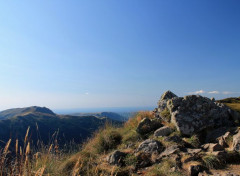  Nature au puy mary