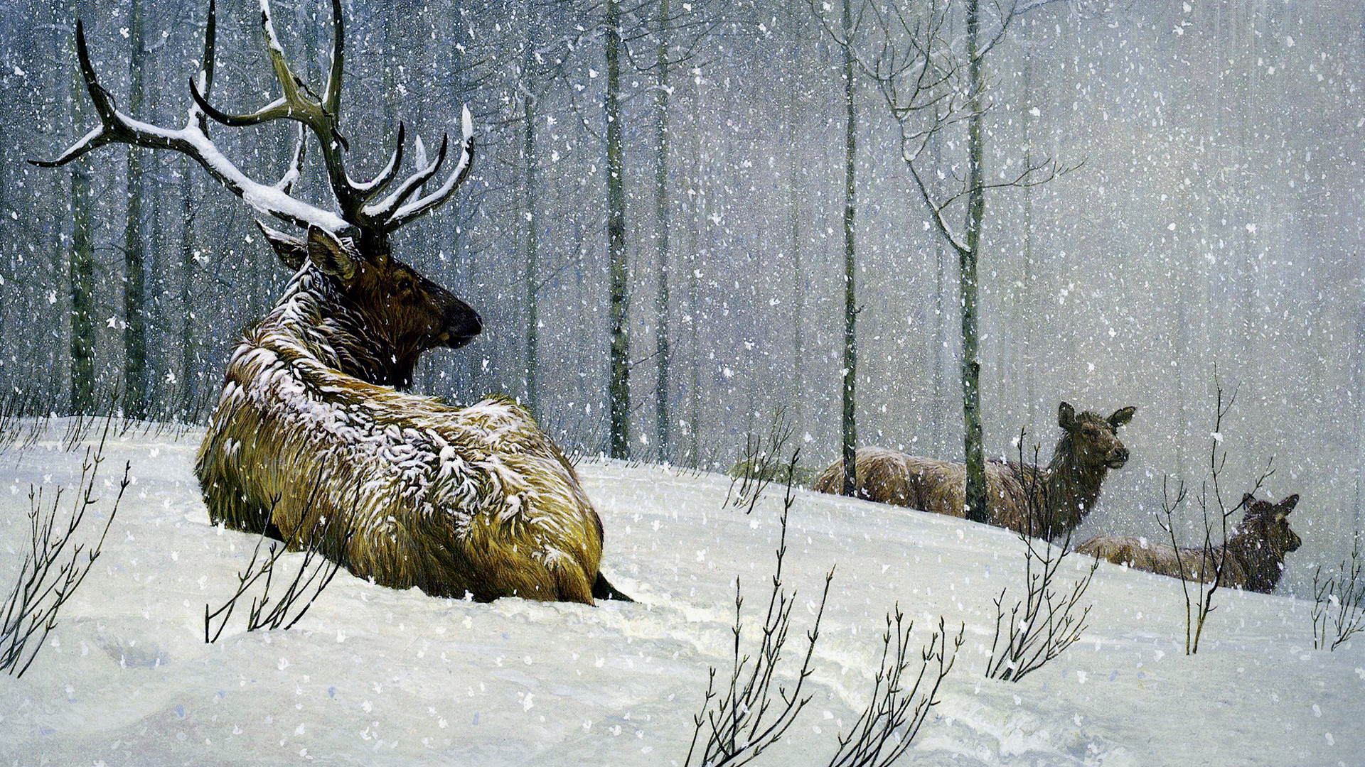 Fonds d'cran Art - Peinture Animaux Un cerf en hiver