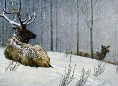  Art - Peinture Un cerf en hiver