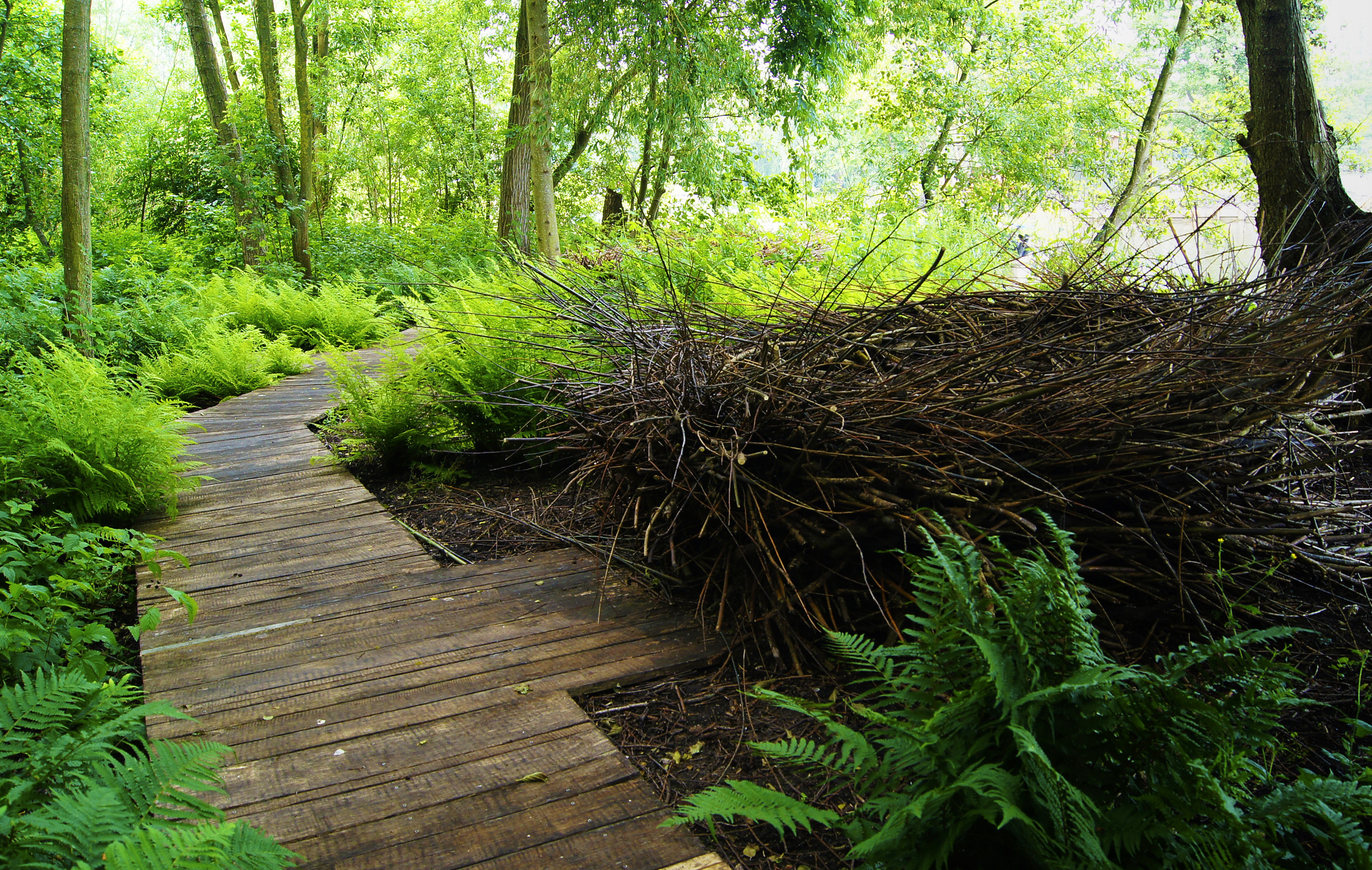 Fonds d'cran Nature Parcs - Jardins Robinsonnade in the Aire