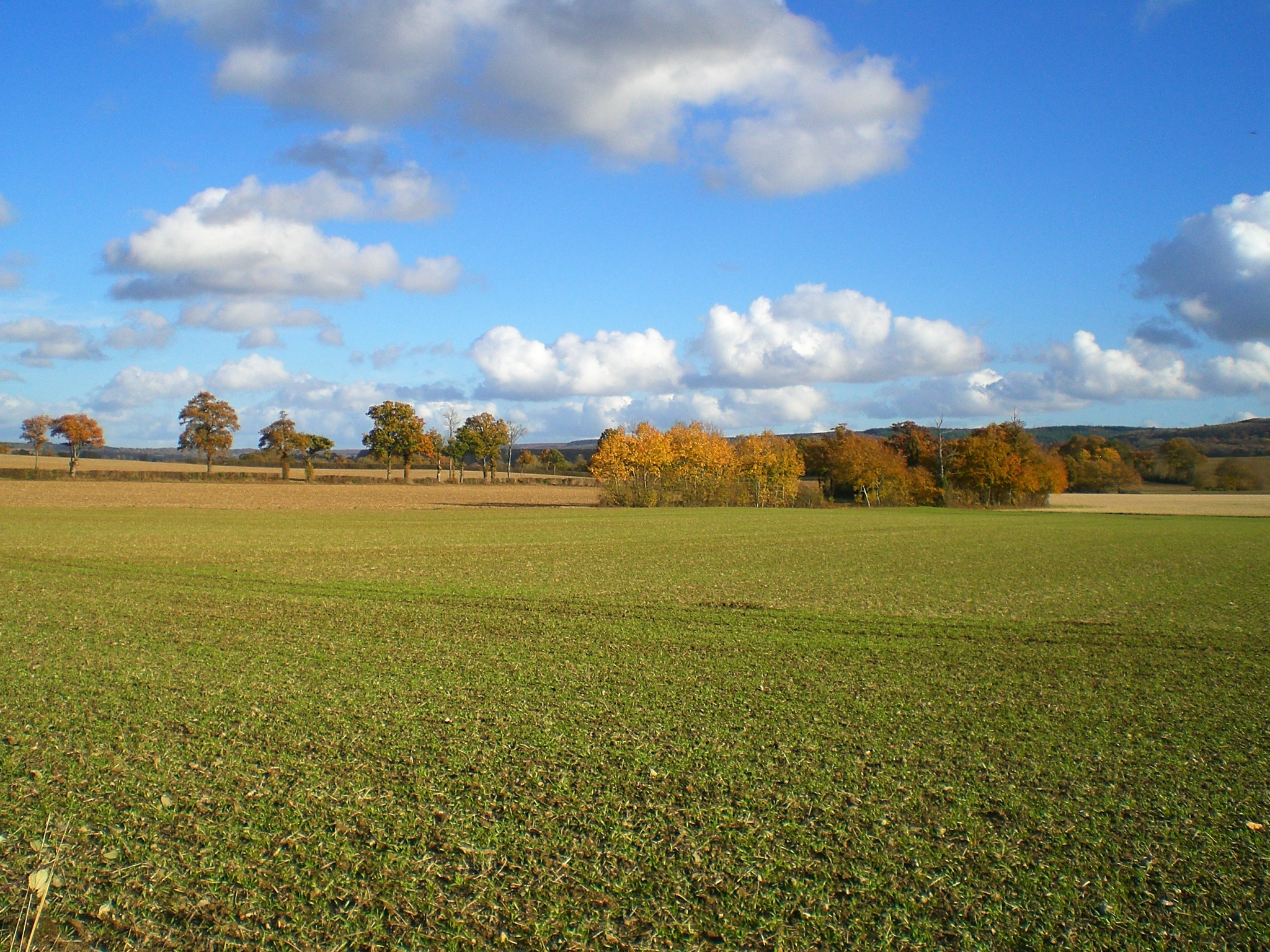 Fonds d'cran Nature Paysages Paysage ornais