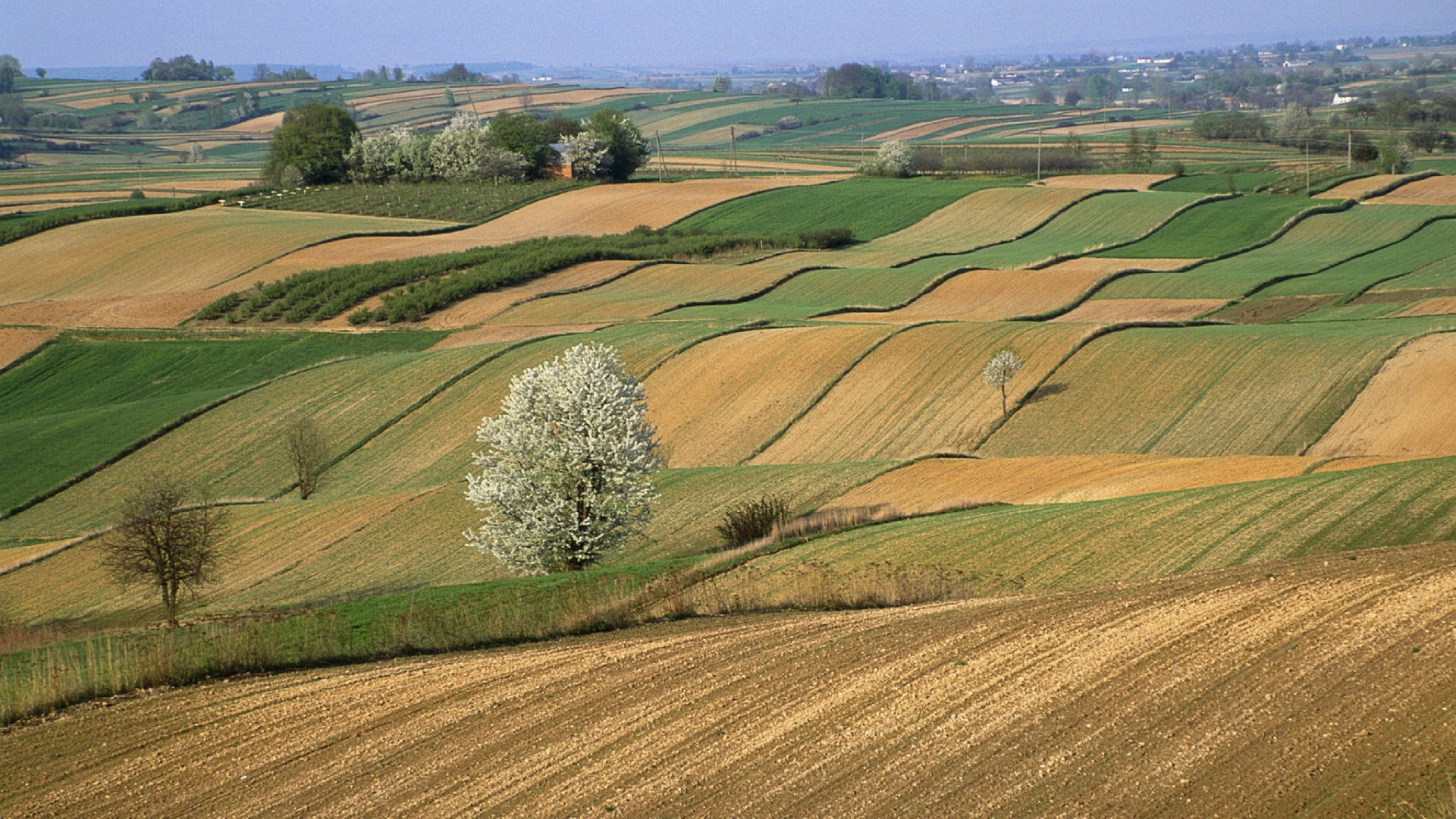 Fonds d'cran Nature Paysages Paysage ondulé