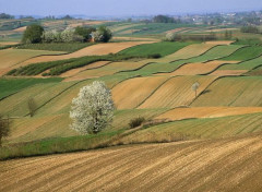  Nature Paysage ondulé