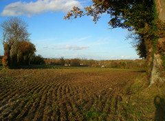  Nature Vue sur les toits ornais