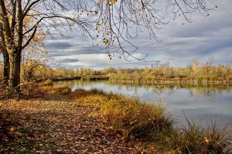 Fonds d'cran Nature Saisons - Automne Wallpaper N466657