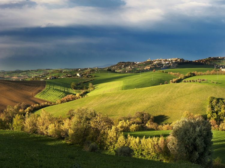 Wallpapers Nature Campaign Paysage  - Village de Toscane