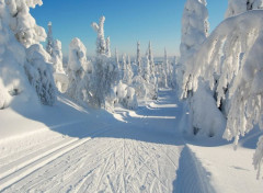  Nature Hiver - Route enneige