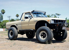  Cars Toyota Trekker (1981)