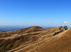  Nature au puy de sancy