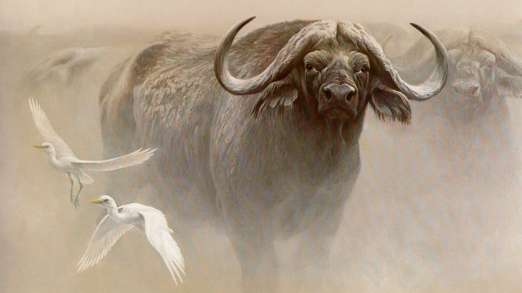 Wallpapers Art - Painting Animals Le buffle d'Afrique et les aigrettes