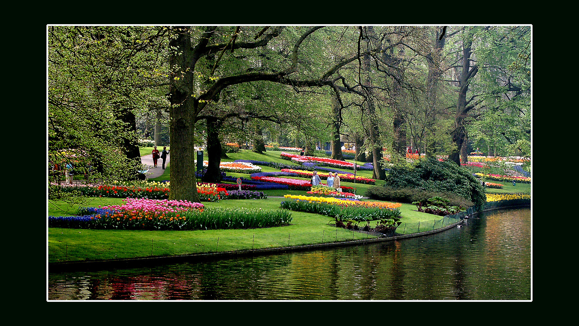 Fonds d'cran Voyages : Europe Pays-Bas Le Keukenhof