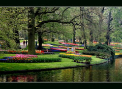  Voyages : Europe Le Keukenhof