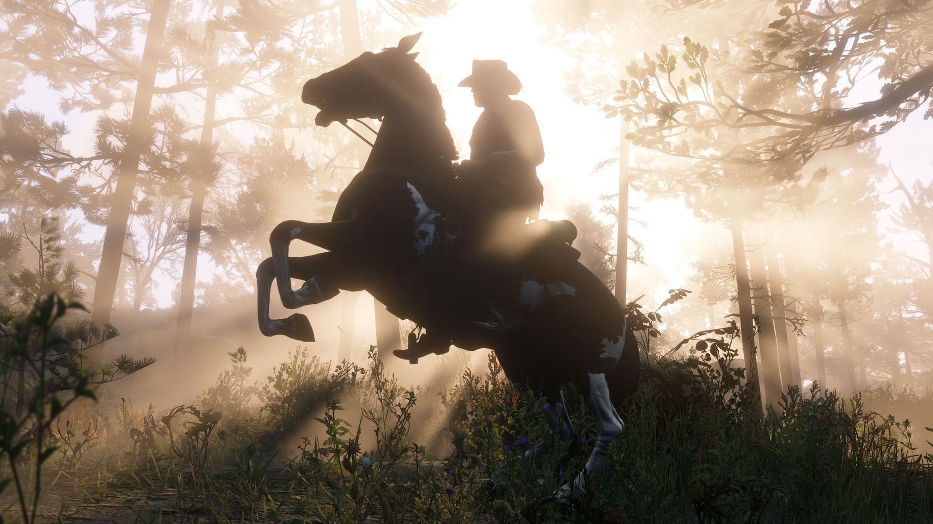 Wallpapers Video Games Red Dead Redemption 2 