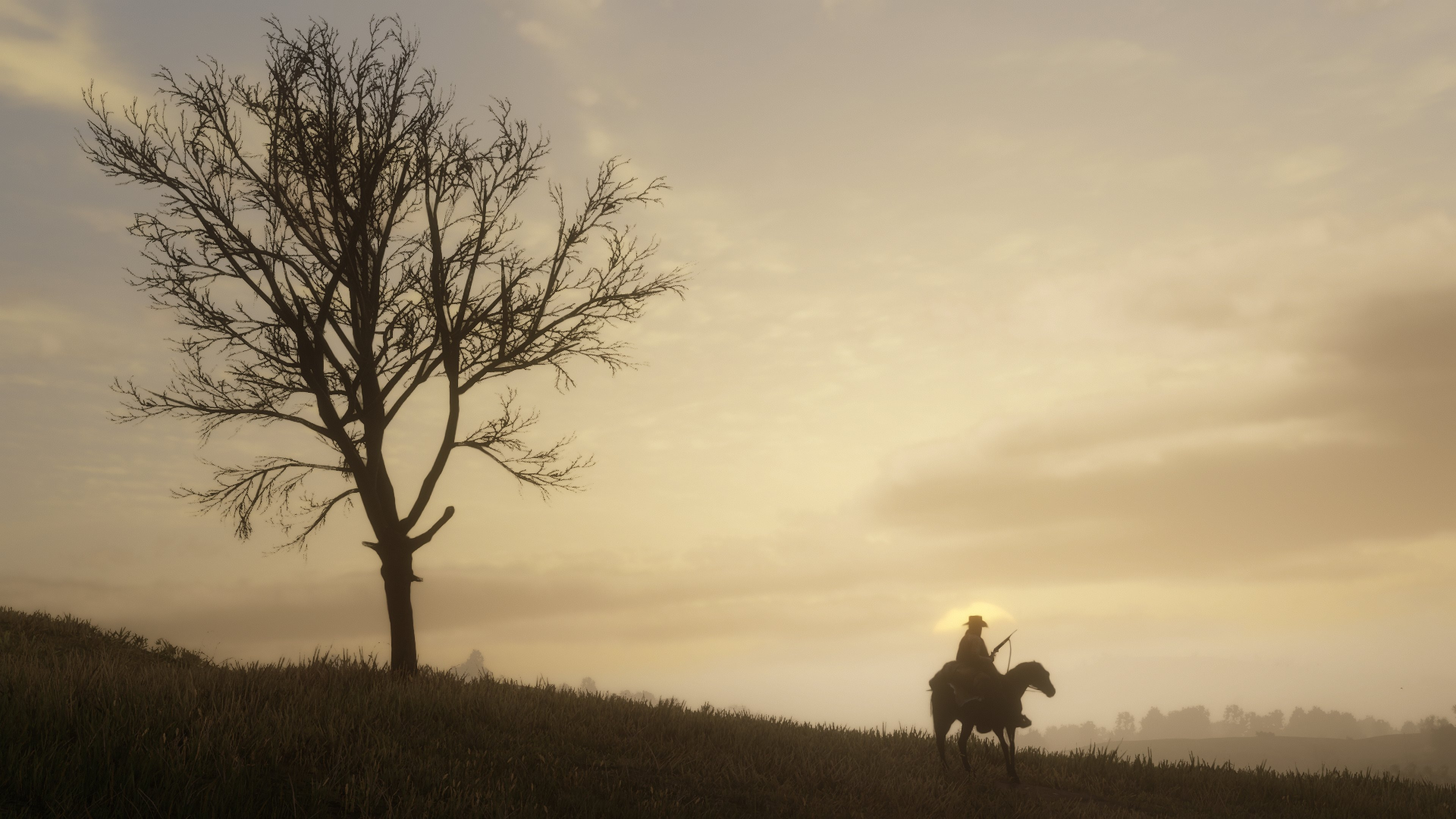 Wallpapers Video Games Red Dead Redemption 2 