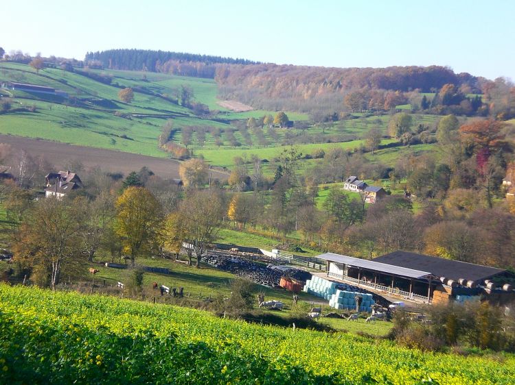 Wallpapers Nature Landscapes Camembert - Ferme