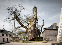  Constructions and architecture Allouville-Bellefosse Chapelle