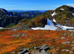  Nature Montagne fleurs & neige