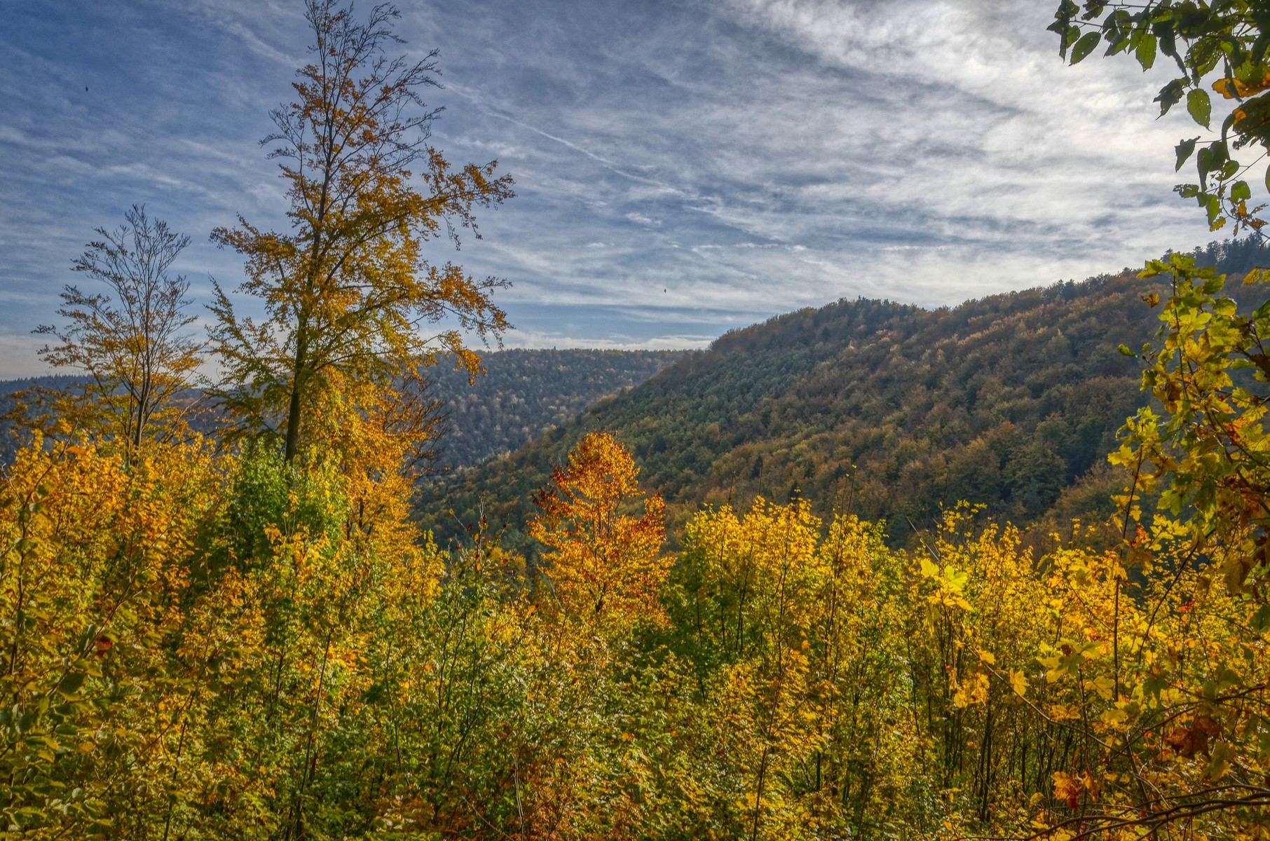 Wallpapers Nature Mountains Vosges du Nord