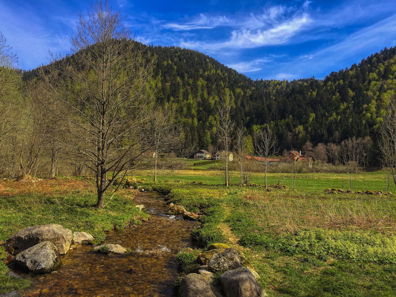 Wallpapers Nature Landscapes Vosges du Nord