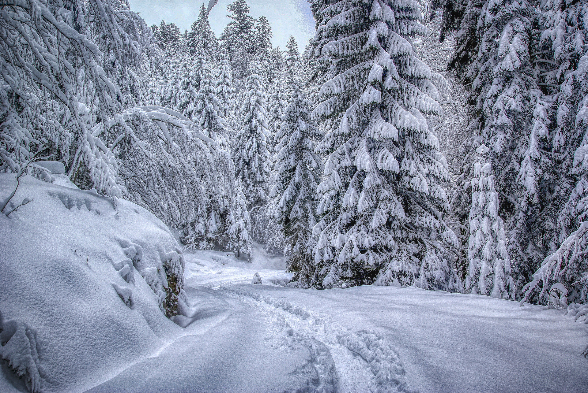 Fonds d'cran Nature Saisons - Hiver Hiver