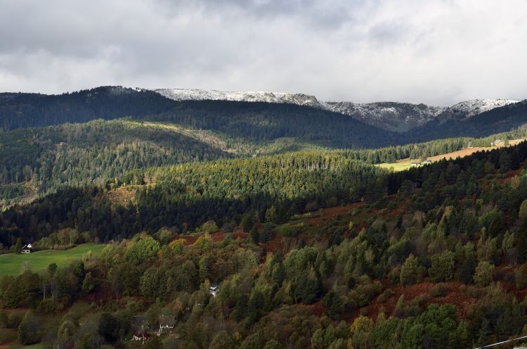 Fonds d'cran Nature Montagnes Hautes Vosges